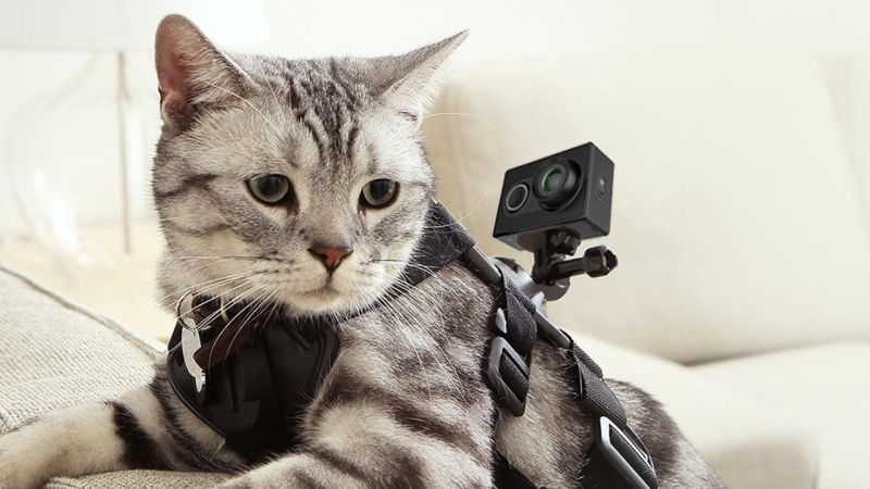 Cámara de acción Yi, $50 con el código D4Y4G625. El chaleco para gatos no esta incluido.